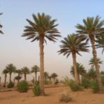 مصلحة الاتصالات الإدارية بوزارة الداخلية تسجل تساقطات مطرية تجاوزت حاجز 200 ملم